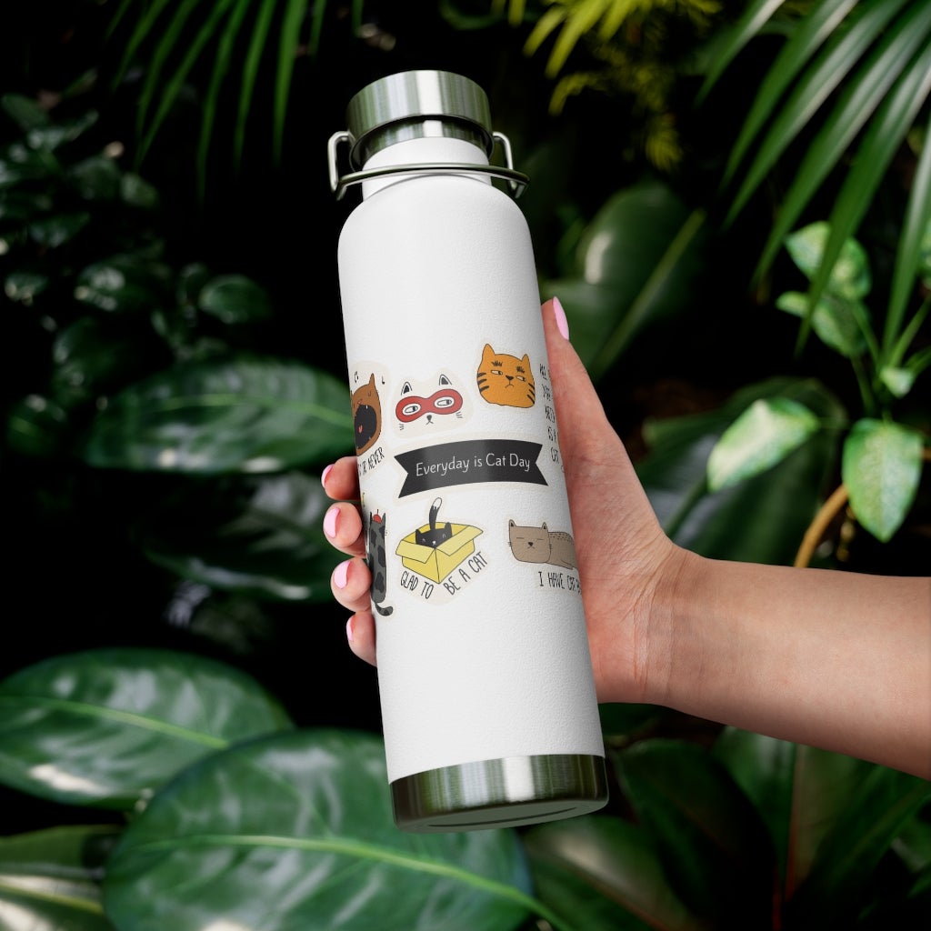 Insulated Thermos Bottle