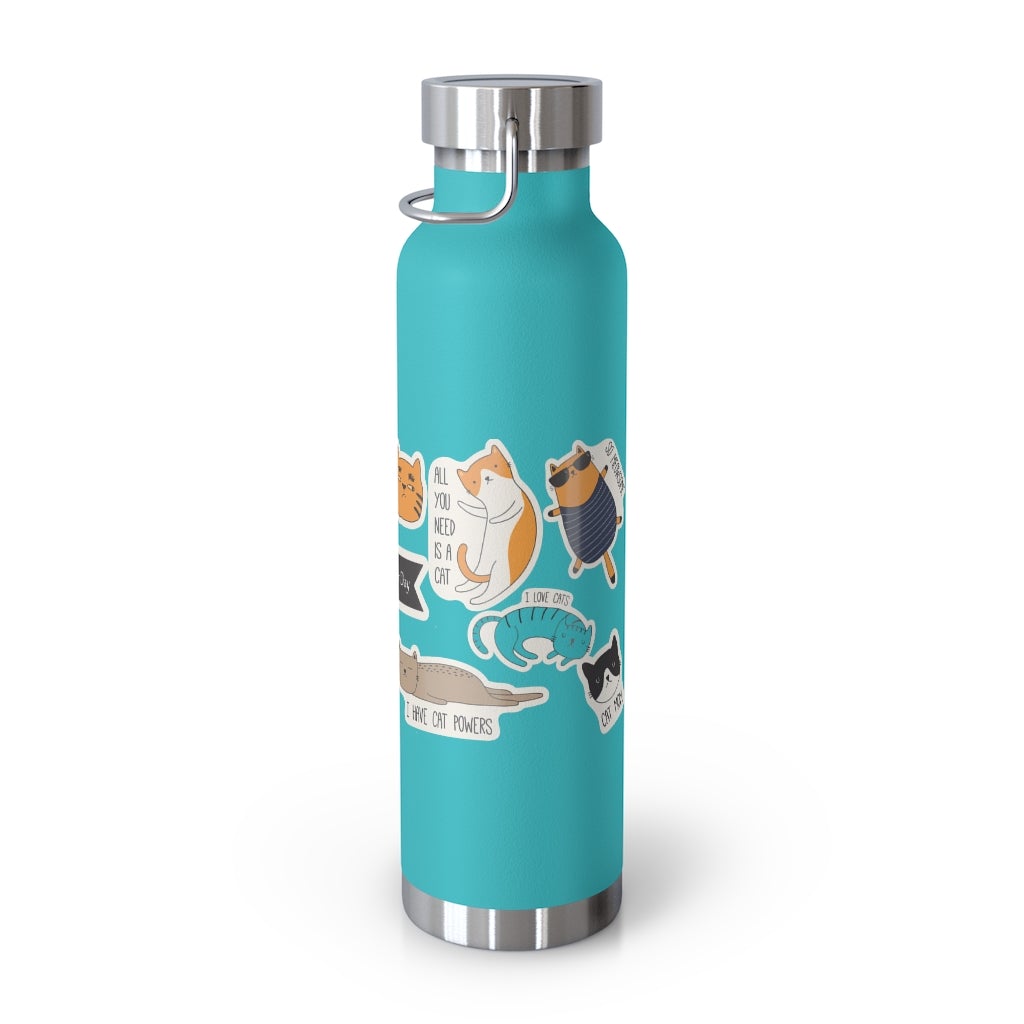 Insulated Thermos Bottle