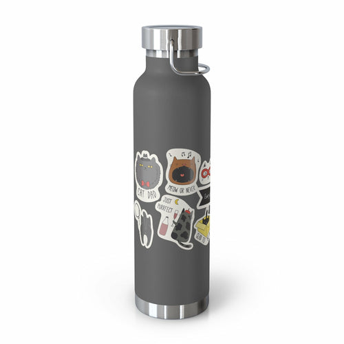 Insulated Thermos Bottle