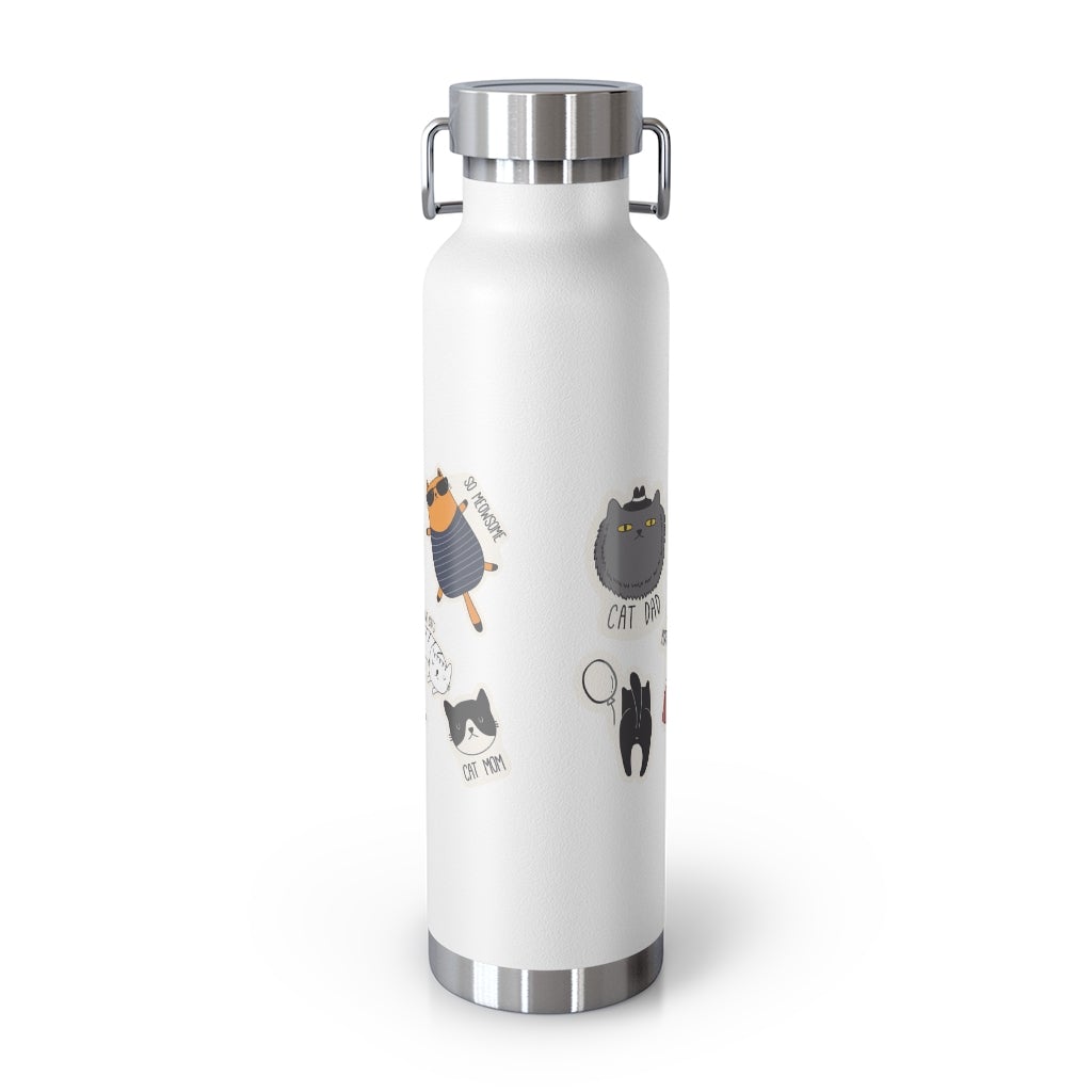 Insulated Thermos Bottle