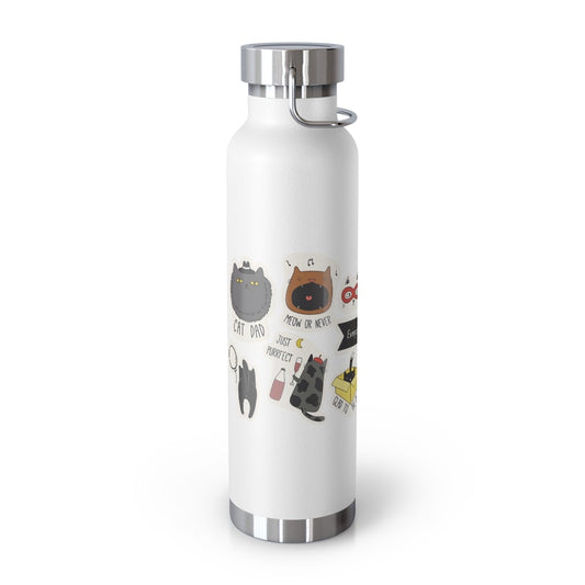 Insulated Thermos Bottle