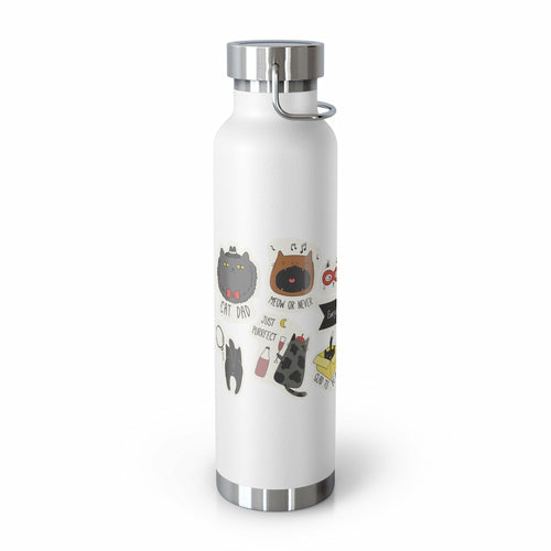 Insulated Thermos Bottle