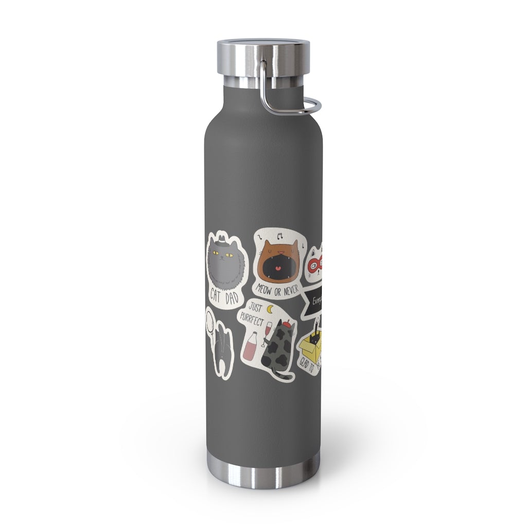 Insulated Thermos Bottle